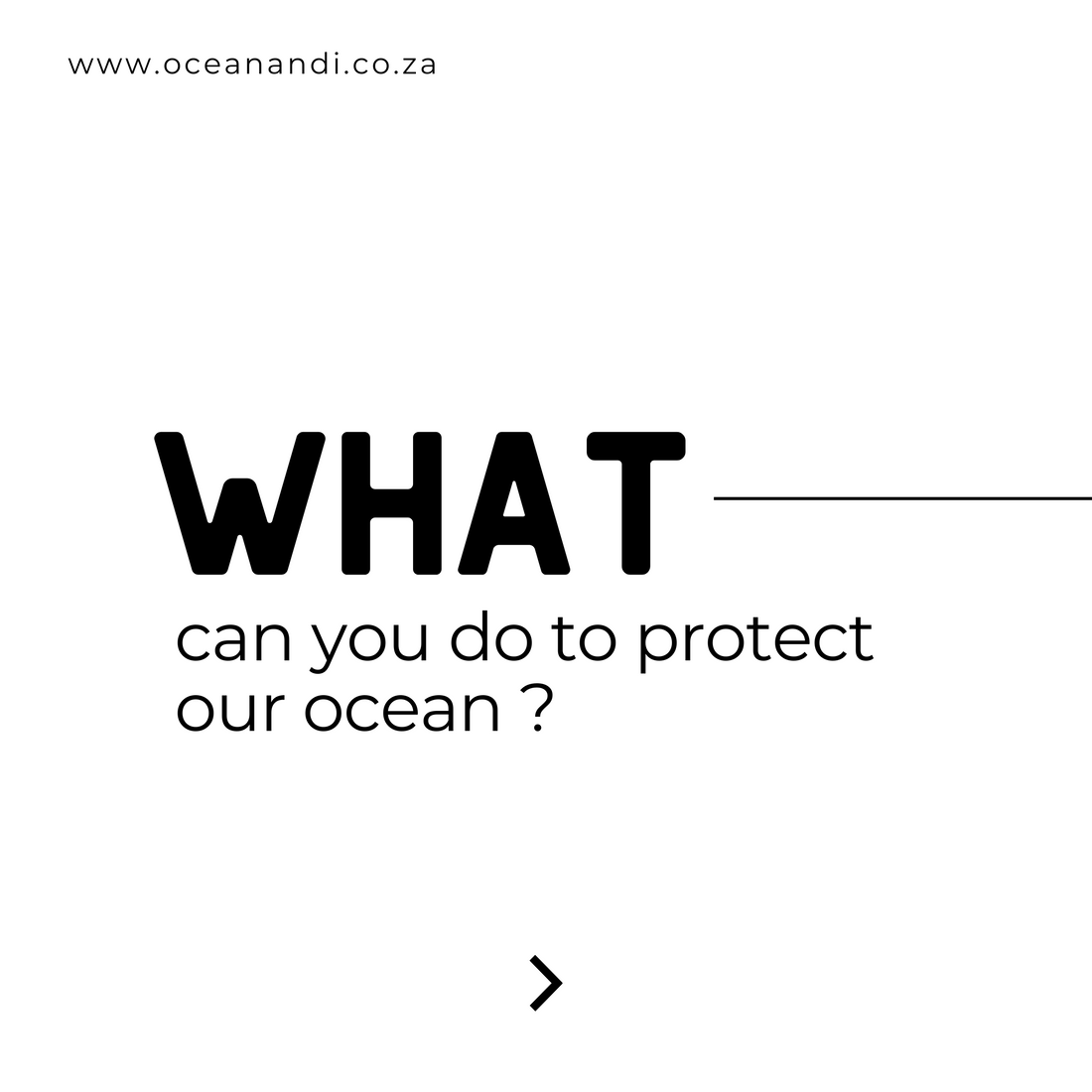 What Can You Do to Protect Our Oceans?