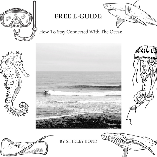Free E-Guide: How To Stay Connected With The Ocean