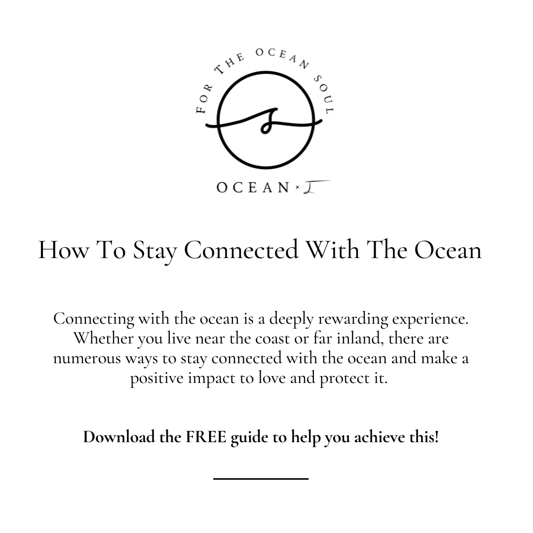 Free E-Guide: How To Stay Connected With The Ocean