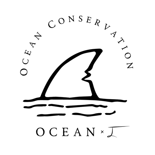 Ocean & I Conservation Donation