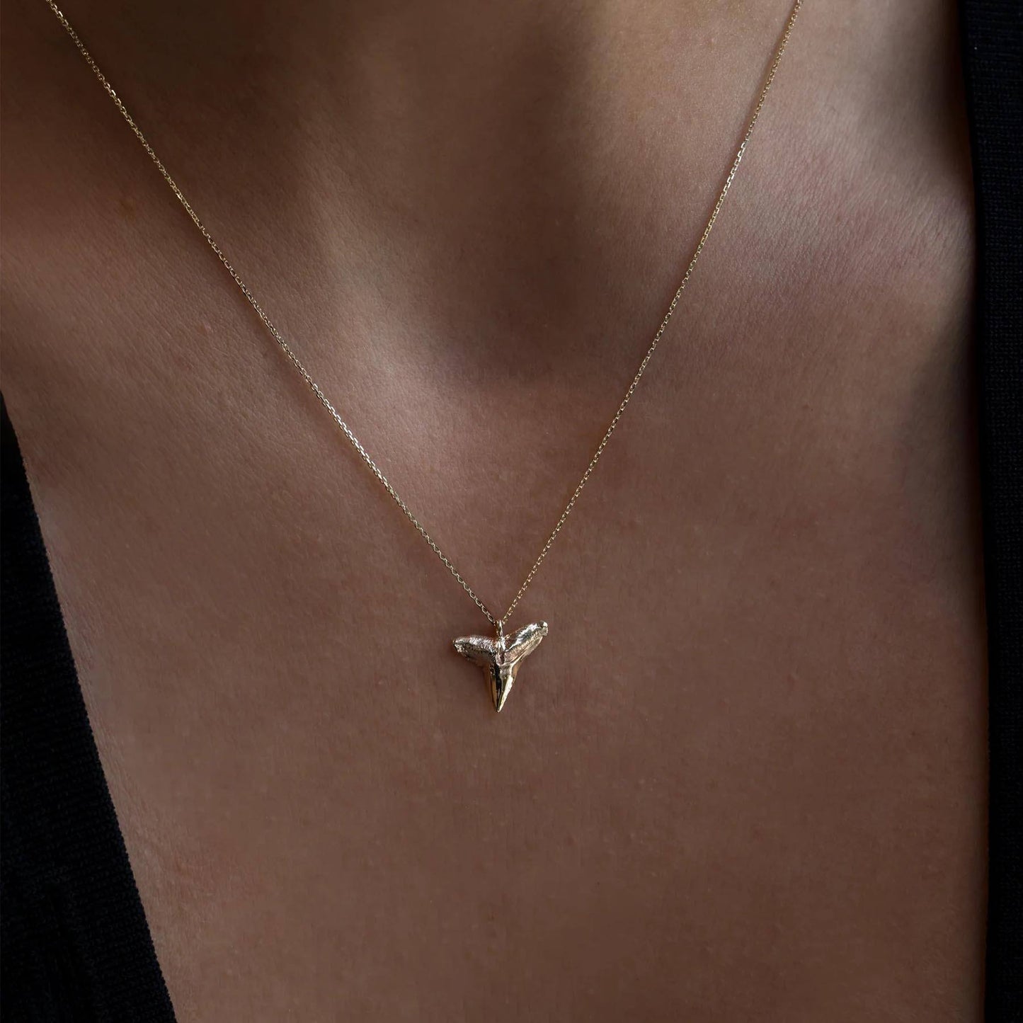 Shark Tooth Necklaces
