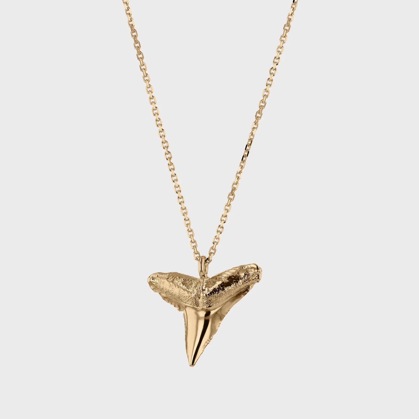 Shark Tooth Necklaces