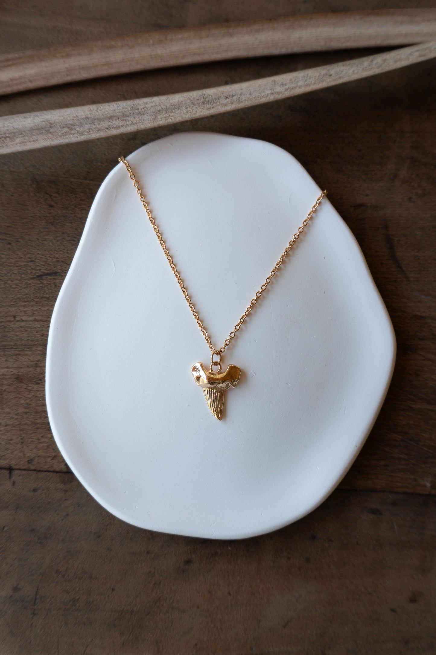 Shark Tooth Necklace