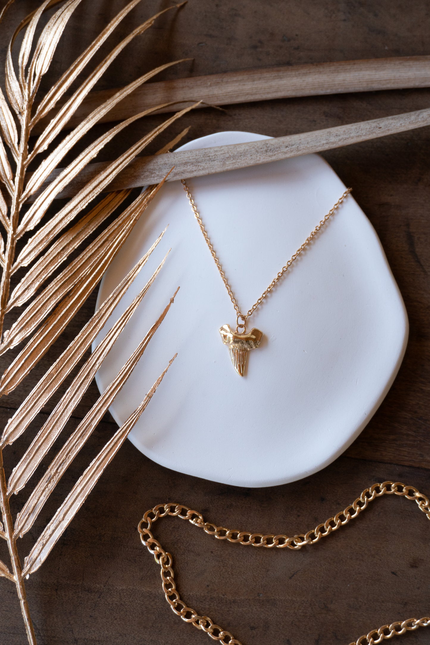 Shark Tooth Necklace