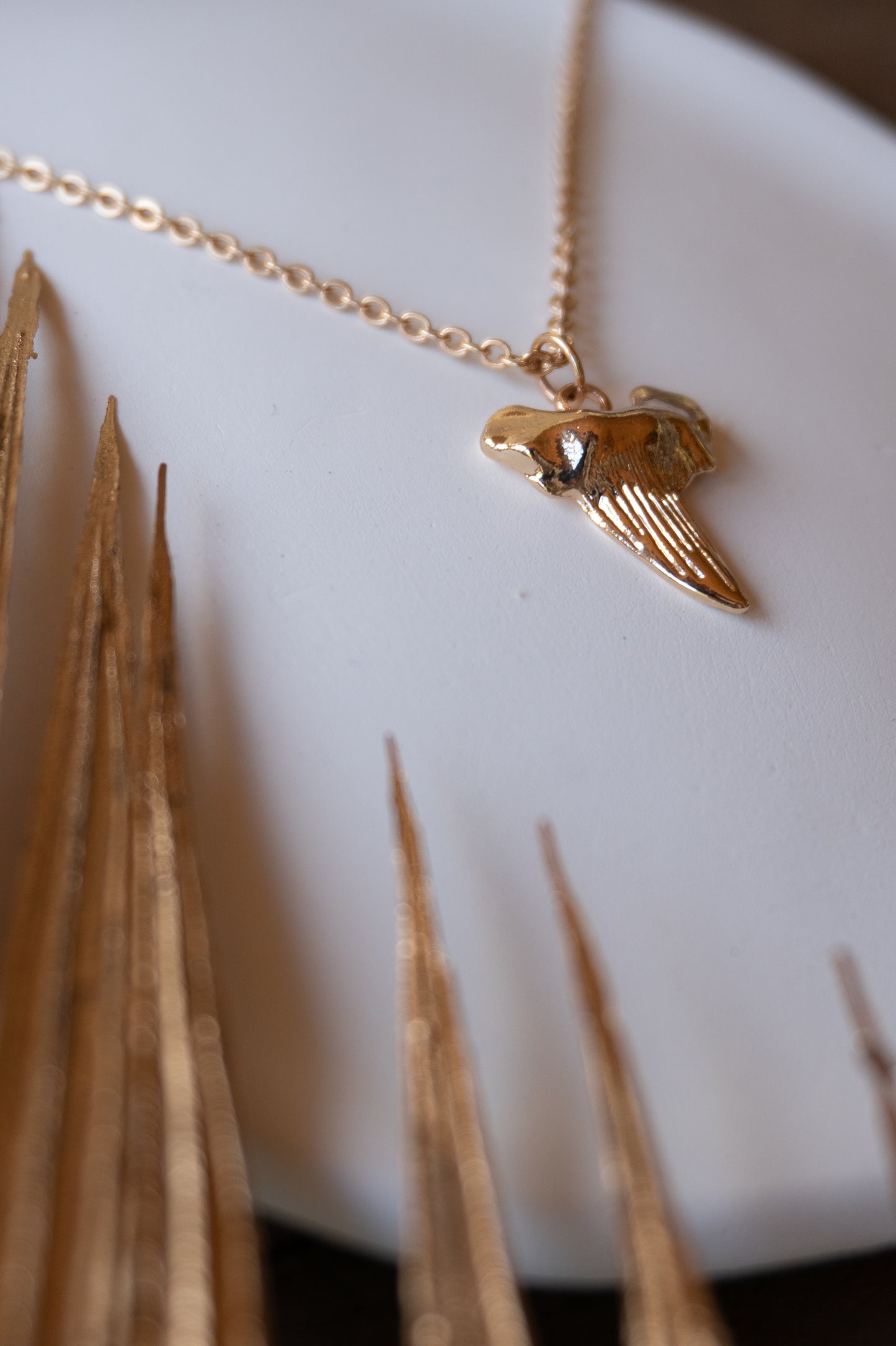 Shark Tooth Necklace