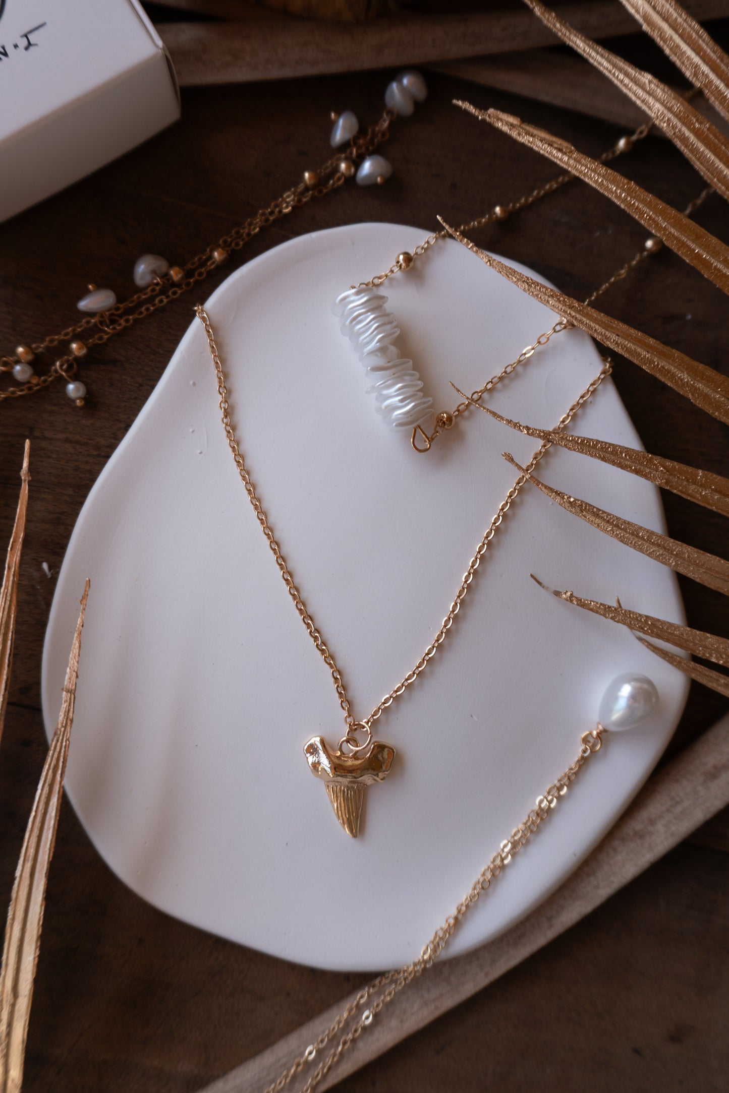 Shark Tooth Necklace