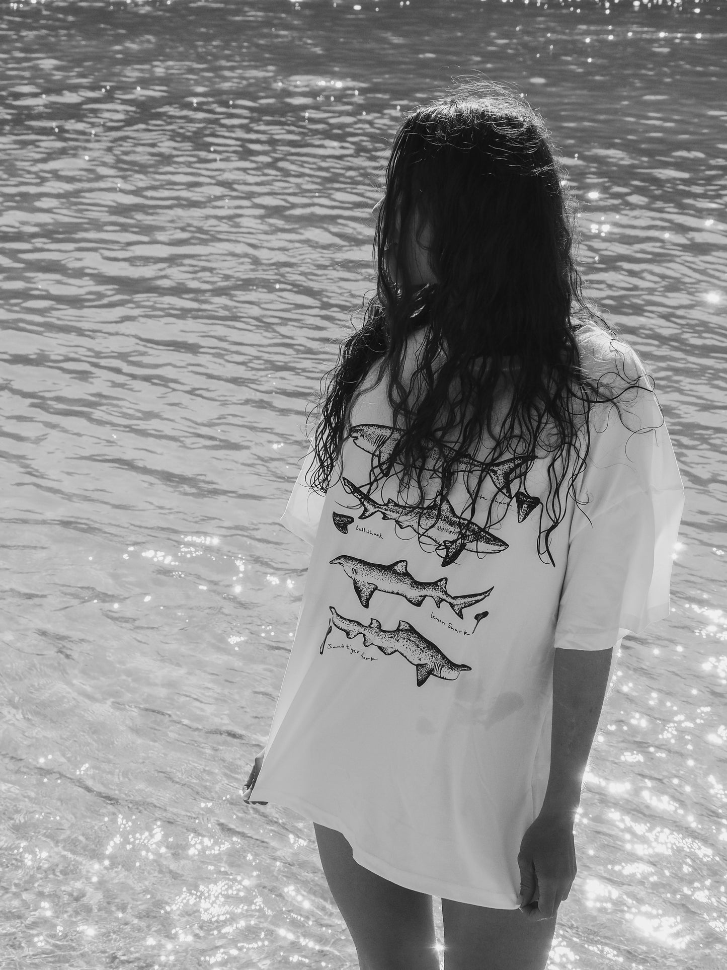The Favourite Shark T-Shirt