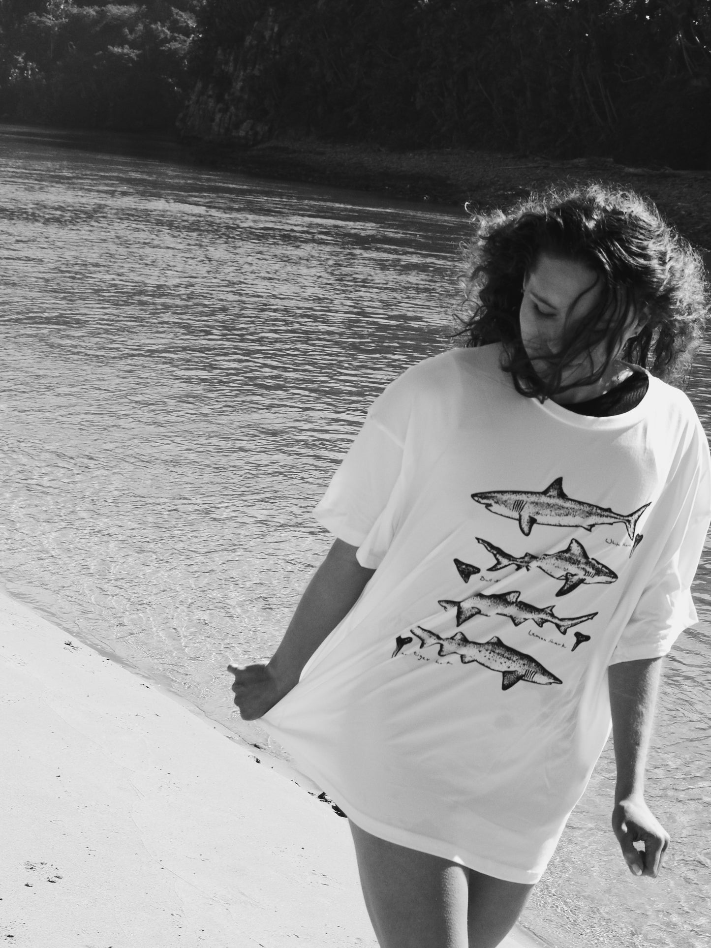 The Favourite Shark T-Shirt