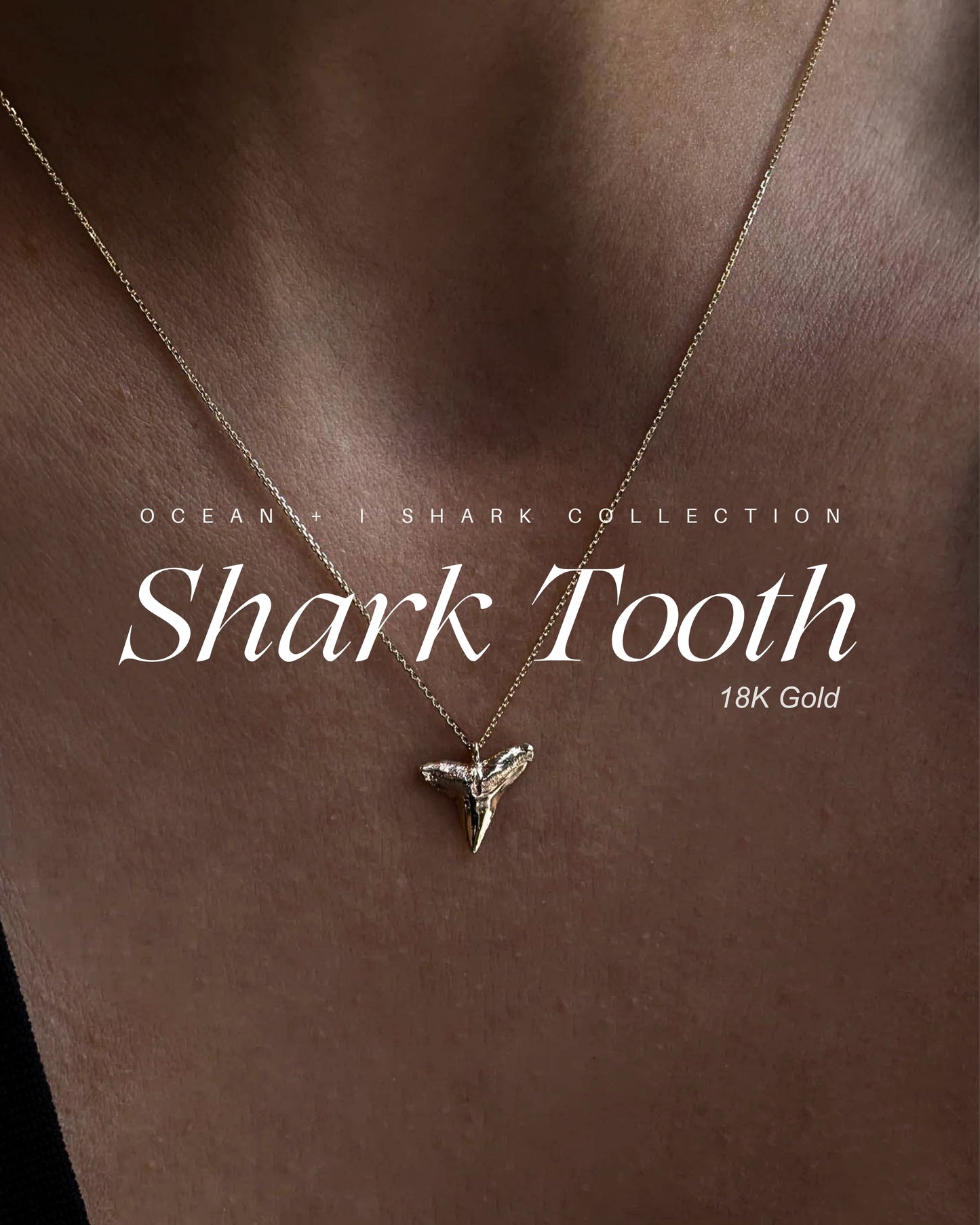 Shark Tooth Necklaces