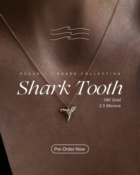 Shark Tooth Necklaces